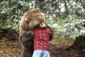 Liberalii vor să soluţioneze conflictul dintre animale şi om. Îl implică şi pe Raed Arafat în proiectul de reacţie rapidă