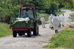 COD ROȘU! Un nou VIRUS generează ALERTA NAȚIONALĂ. COȘMAR pentru MILIOANE de ROMÂNI