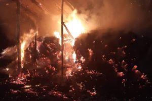 FOTO. Incendiu puternic în Turţ, la un depozit de plante furajere