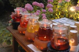 Totul despre ceai. De ce este important sa-l bem. Care sunt beneficiile lui.   