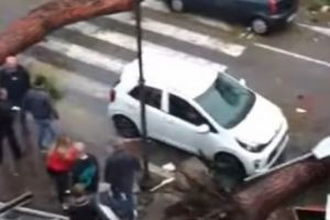 Natura SE DEZLĂNȚUIE! Europa se CUTREMURĂ după HAOSUL din Italia: oraşe ÎN RUINĂ şi 14 decese