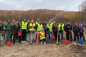 Trei hectare semănate cu ghindă, de către Rotary Club Târgovişte şi Direcţia Silvică Dâmboviţa