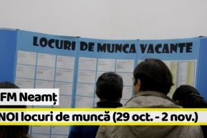 AJOFM Neamţ: 101 NOI locuri de muncă, comunicate în săptămâna 29 octombrie-2 noiembrie