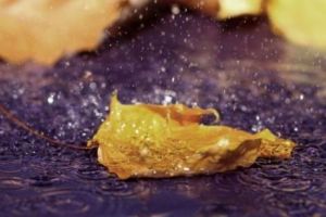 VREMEA rea pune stăpânire pe ROMÂNIA. Alertă METEO