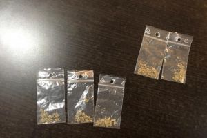 Constanta. Barbati, depistati de politistii locali cu etnobotanice asupra lor