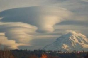 Zborul nocturn al liliecilor reprezintă fotografia care a câştigat în acest an marele premiu al British Wildlife Photography Awards