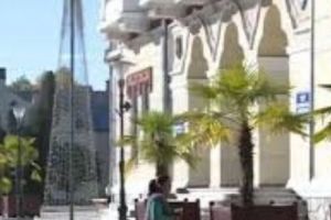 La Tg. Jiu, iarna e ca vara. Brăduţi împodobiţi de Crăciun şi palmieri exotici te fac să te simţi în Hawai 