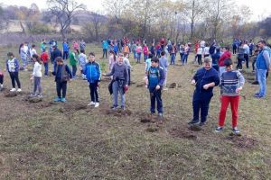 Centenarul... verde: Garda de Mediu Bihor şi elevii din Bratca au plantat 100 de molizi (FOTO)