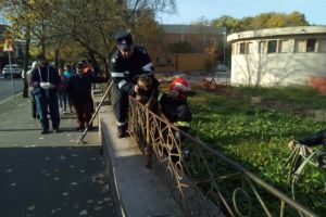 Interventie de urgenta a pompierilor. Catel, in pericol de inec la Tulcea (galerie foto)