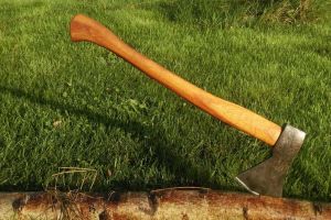 Tragedie la Surduc. Un tânăr de 18 ani a fost ucis de un copac în timp ce era la tăiat de lemne