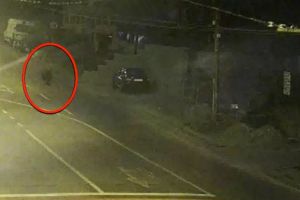 Doi urşi în zece zile, la Mediaş – Primăria recunoaşte că e o problemă