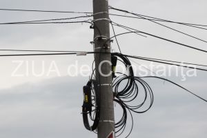 Cine sunt noii membri ai Consiliului de Administratie al societatii E-Distributie Dobrogea 