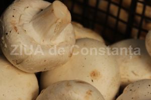 Cateva ciuperci albe contin o cantitate de potasiu mai mare decat o portocala