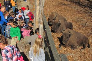Excursie gratuită în Ţara Haţegului pentru copiii din Ghelari aflaţi în risc de marginalizare