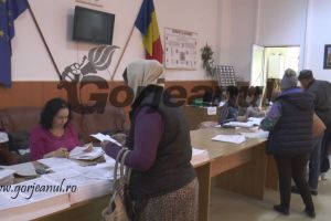 Peste 500 de târgujieni au solicitat subvenţia la încălzire cu lemne ori gaze naturale