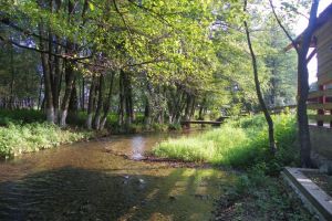 În lumea „Apei Vii”  la Izvarna