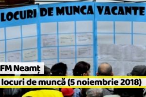 AJOFM Neamţ: 930 locuri de muncă vacante la data de 5 noiembrie 2018