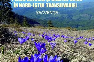 ”Peisaj natural şi habitat uman în nord-estul Transilvaniei”, la Muzeu