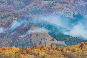 Incendiu de vegetaţie uscată şi litieră în Sălciua de Sus. Pompierii intervin cu două autospeciale
