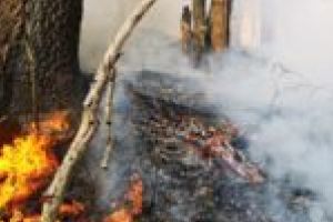 Incendiu de proporţii pe Semenic! Zeci de pompieri, în alertă!