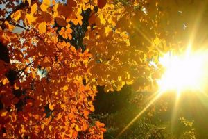 Se SCHIMBĂ vremea! Cât timp ne vom mai bucura de temperaturi de primăvară