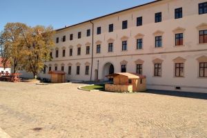 Unde ieşim săptămâna asta: Nu rataţi expoziţiile de la Muzeul oraşului Oradea