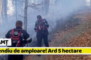 [FOTO] Neamţ: Mobilizare de forţe pentru un incendiu de amploare, pe o suprafaţă de 5 hectare