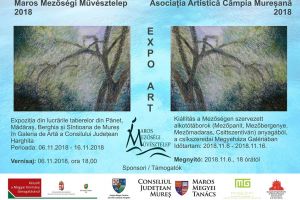 Expoziţia Asociaţiei Artistice Câmpia Mureşană în Galeria de Artă a CJ Harghita