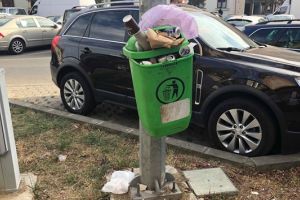 Imagini care arata cum a facut fata Horticultura curateniei stradale in Timisoara