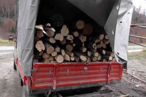 Transporturi ilegale de lemne amendate de poliţişti la Tulgheş şi Suseni