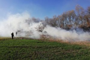 Incendiu de vegetaţie în Stupini