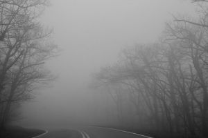 Atenţie! Cod galben de ceaţă în judeţul Satu Mare