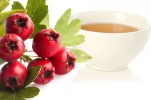 Tensiunea arterială tratată cu ajutorul plantelor