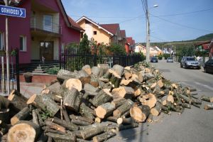 Ocolul Silvic Municipal nu are lemn de foc decât pentru o parte dintre bistriţeni. Cine sunt norocoşii