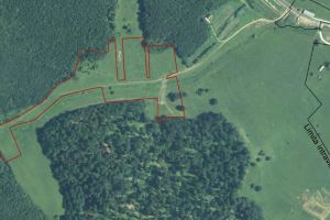 Unde va fi construit un nou centru de sănătate şi cum va arăta el