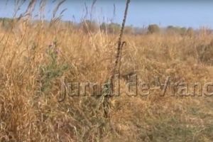 Imagini incredibile de la Mărăşeşti! Parcul Memoriei Naţionale, un eşec! CALAMITATE!