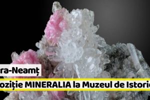 Piatra-Neamţ: Expoziţie MINERALIA la Muzeul de Istorie, în perioada 8-11 noiembrie
