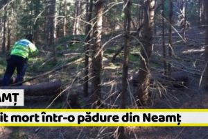Neamţ: Dat dispărut în septembrie, găsit mort într-o pădure din Neamţ