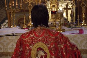 Ce semeni, vei cultiva