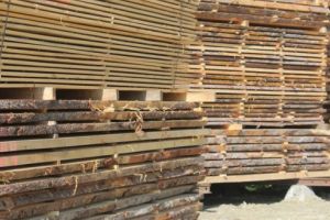 Nereguli descoperite la un depozit de cherestea din Ibăneşti