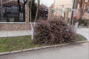 Începe curăţenia de toamnă în municipiul Satu Mare. Primăria roagă cetăţenii să contribuie la acţiune