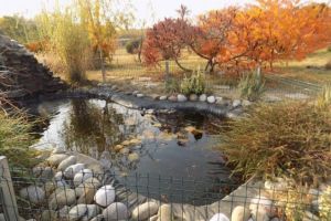 De vizitat: Gradina botanica din Bucov, un loc linistitor, cu peisaje superbe de toamna