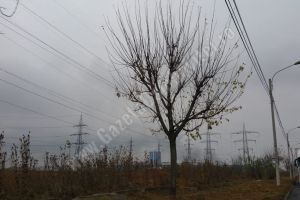 Incendiu la Remat Târgovişte. Fumul se vede de la kilometri