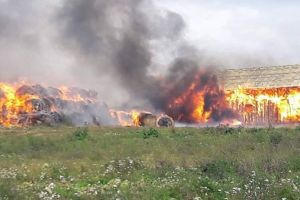 Incendiul devastator de la Bungard – Campanie de ajutoare pentru ciobanul păgubit