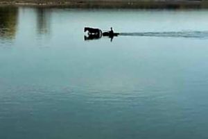 O imagine cat o mie de cuvinte. Cum se traverseaza fluviul Dunarea in zona Chiciu, Calarasi. Ce nemultumiri au localnici din zona  