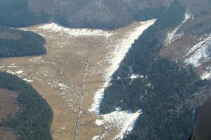 Ce se mai aude despre Moliviş?