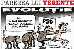 Părerea lui Terente