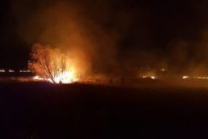 Şase incendii de vegetaţie într-o singură zi