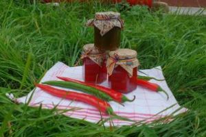 „Cei ce dăruiesc, au totul. Cei ce se abţin, nu au nimic.”- campanie caritabilă lansată de ADMR