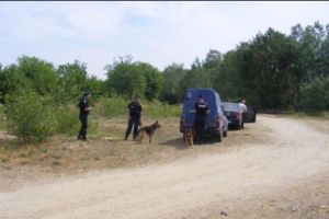 O fetiţă din Petroşani a dispărut de acasă